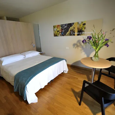 Ca' Del Lupo Hotel 4*